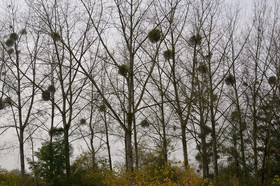 Vakantiewoning De Pluktuin