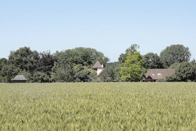 Hof Van Eine