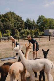 Domaine des Hautes Fagnes Hotel & Spa