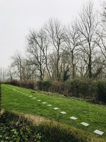 Panacée Guesthouses