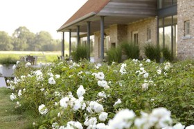 Babillie Guest House