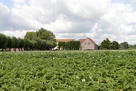 Babillie Guest House