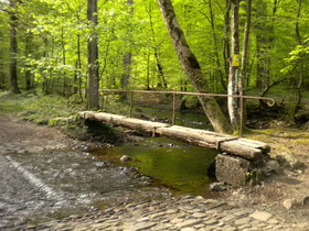 Auberge du Sabotier