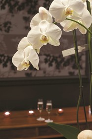Radisson Blu Balmoral Spa