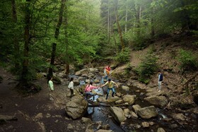 Center Parcs Les Ardennes