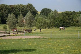 La Ferme Chateau De Laneffe