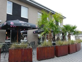 Hotel Otus