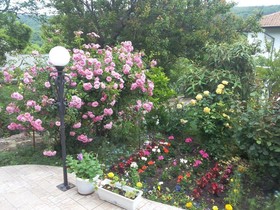 Guest House Yanakievi