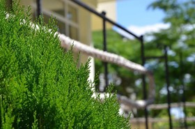 Sea Wolf Hotel