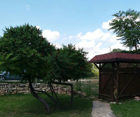 Ajax Guest House