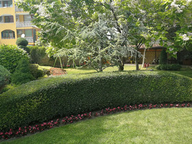 Ajax Guest House