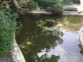 Ajax Guest House