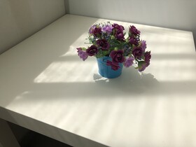 Tevi Boutique Apartments