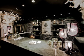 Royal Castle Design & Spa