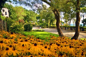 Oasis Resort & Spa