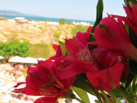Sirena Hotel