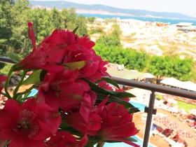 Sirena Hotel