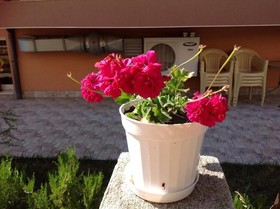 Villa Elegance