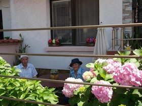 Guest House Plavas