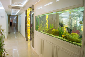 Harmony Suites 8  9 Dream Island