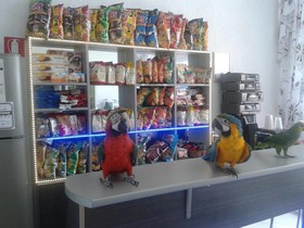 Megas