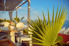 Casa Real Resort
