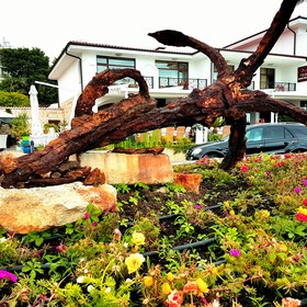 Hotel Palace Marina Dinevi