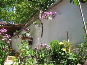 Aseva House Family Hotel