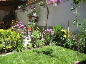 Aseva House Family Hotel