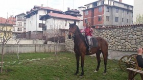 Pirina Club Hotel