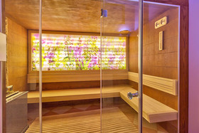 Central Spa Club