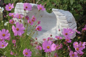 Galeria In The Garden