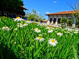 Hotel Izvora Holiday & Spa