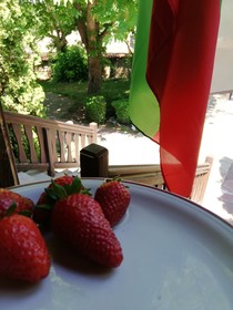 Hotel Izvora Holiday & Spa