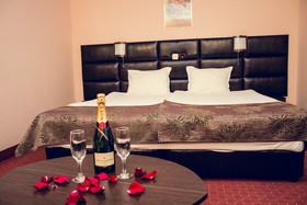 Hotel Zdravets Wellness & Spa