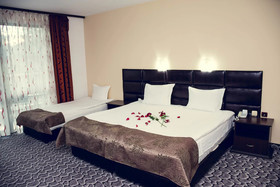 Hotel Zdravets Wellness & Spa
