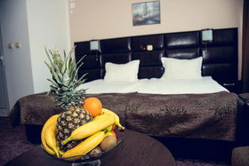 Hotel Zdravets Wellness & Spa
