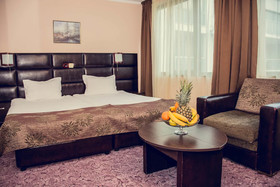 Hotel Zdravets Wellness & Spa