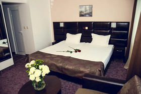 Hotel Zdravets Wellness & Spa