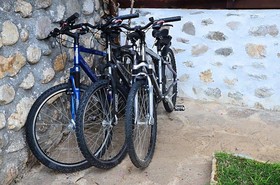 Family Hotel Dinchova Kushta