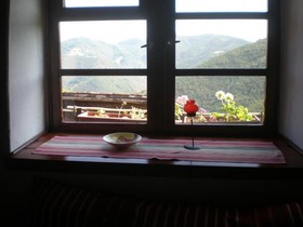 Erendgikov's House