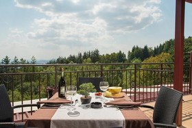 Hotel Villa Magus