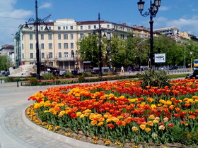 Alexander Business Apartments