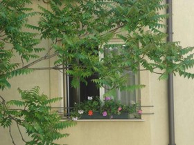 Kapri Hotel