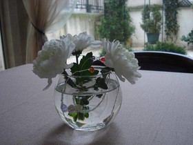 Kapri Hotel