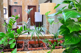 Haven Apartment