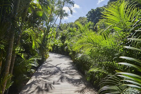 Cheval Blanc St-Barth Isle de France