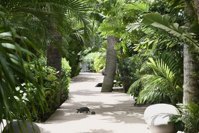 Cheval Blanc St-Barth Isle de France