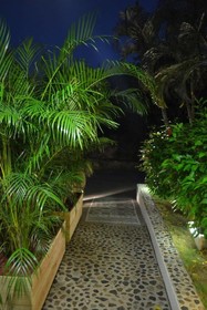 Tropical St Barth