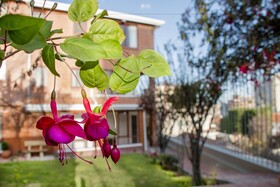 Qhini Hotel Boutique